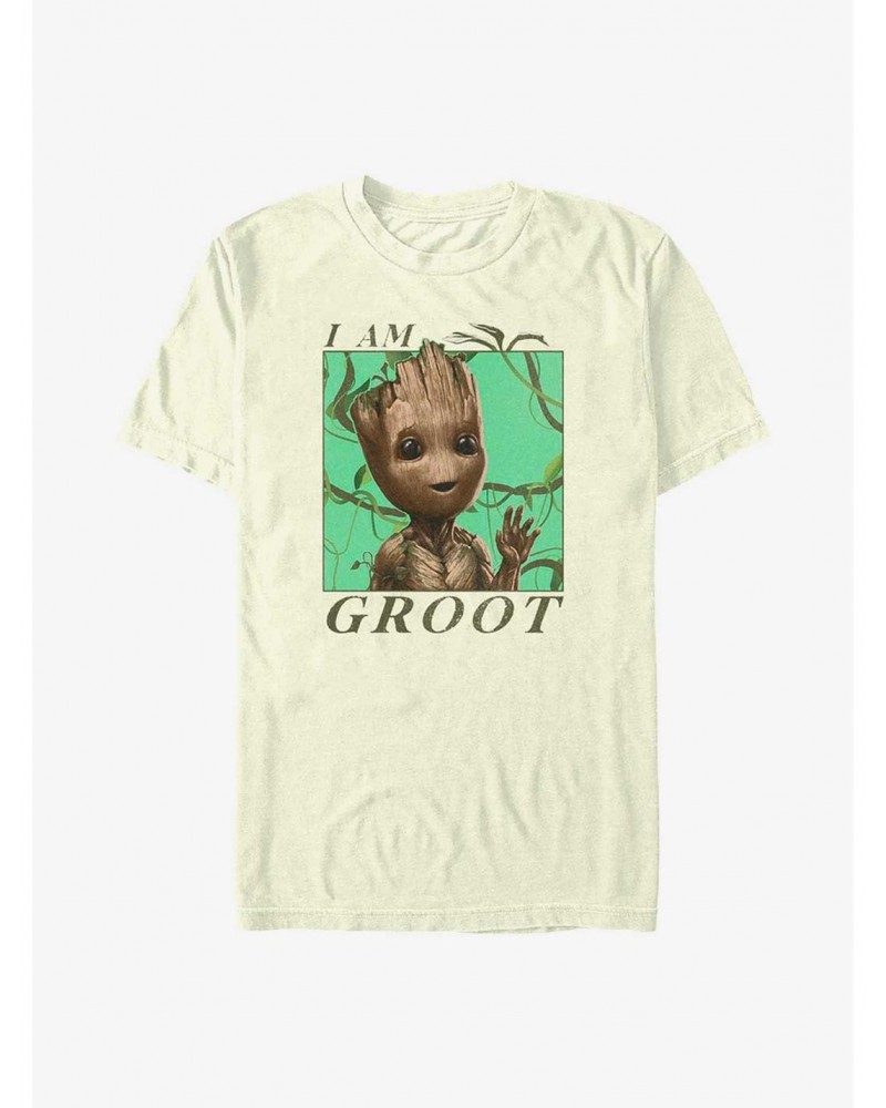 Marvel Guardians of the Galaxy Jungle Vibes T-Shirt $6.88 T-Shirts