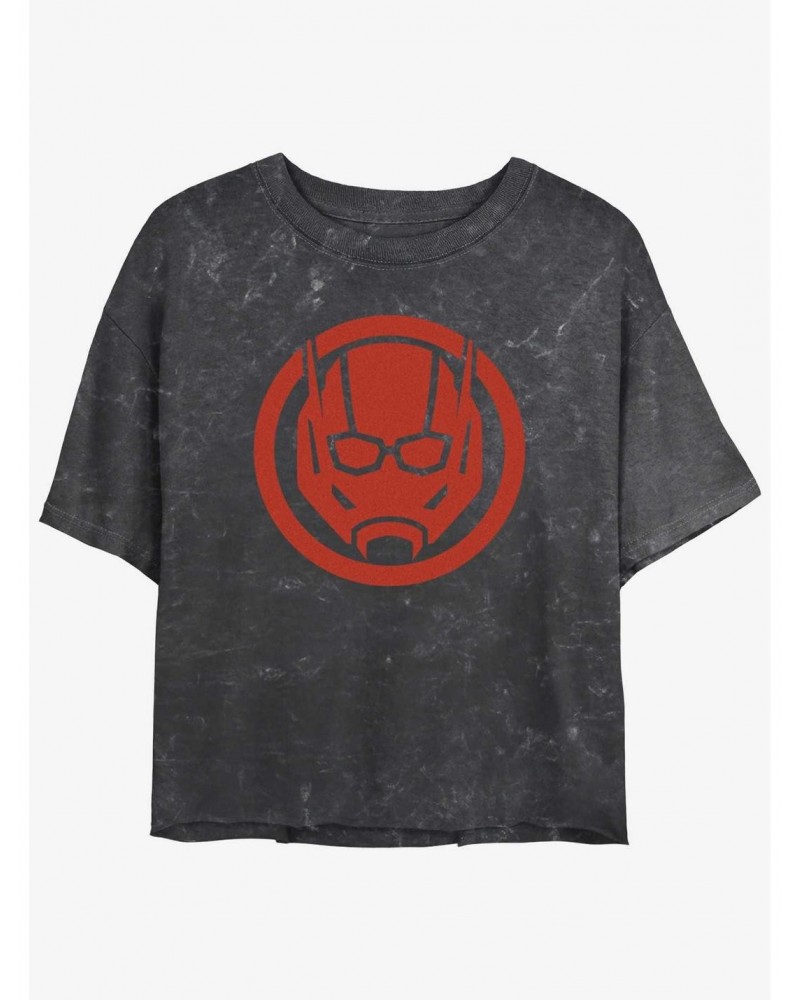 Marvel Ant-Man and the Wasp: Quantumania Antman Sigil Mineral Wash Girls Crop T-Shirt $10.87 T-Shirts