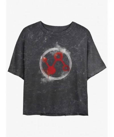 Marvel Ant-Man and the Wasp: Quantumania Pym Technologies Icon Mineral Wash Girls Crop T-Shirt $9.48 T-Shirts