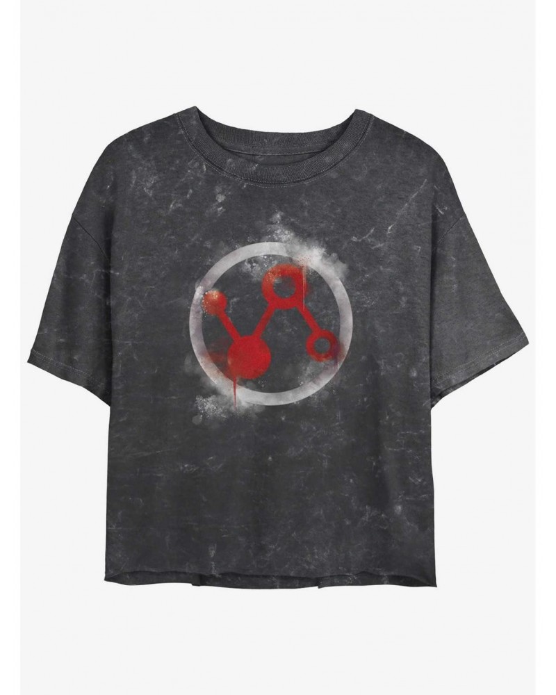 Marvel Ant-Man and the Wasp: Quantumania Pym Technologies Icon Mineral Wash Girls Crop T-Shirt $9.48 T-Shirts