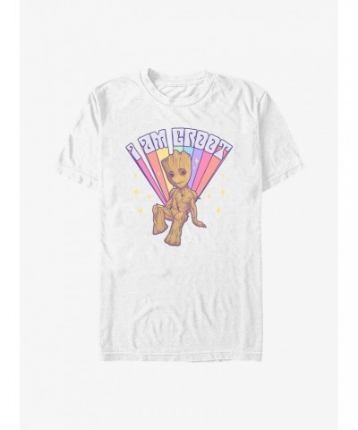 Marvel Guardians of the Galaxy Prideful Groot T-Shirt $8.03 T-Shirts