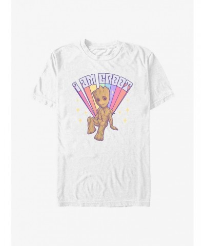 Marvel Guardians of the Galaxy Prideful Groot T-Shirt $8.03 T-Shirts